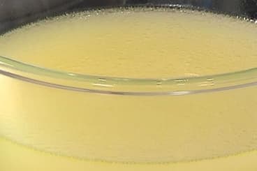 Fond blanc de volaille - bouillon de volaille