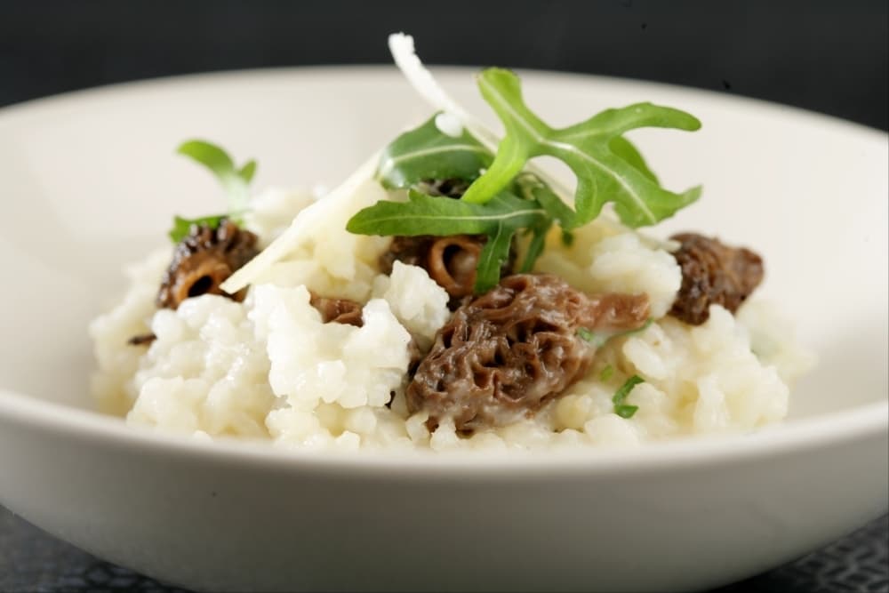 Risotto aux morilles et parmesan