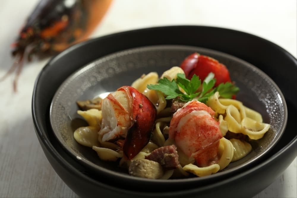Orecchiette au homard