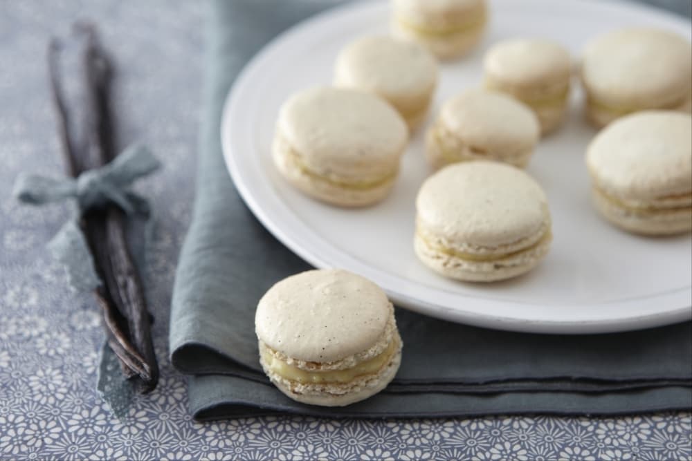 Macaron vanille