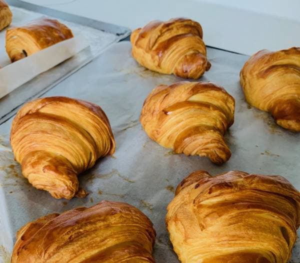 Pâte levée feuilletée sur poolish 3h30 (PLF)