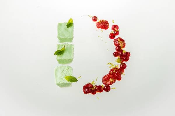 Panna cotta mentholée, salade de fruits rouges