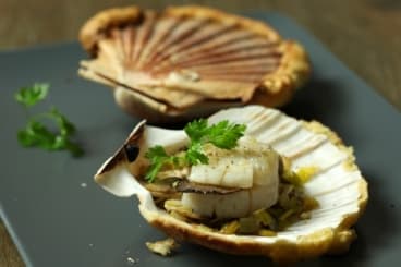 Saint-Jacques en coquille lutée à la truffe noire