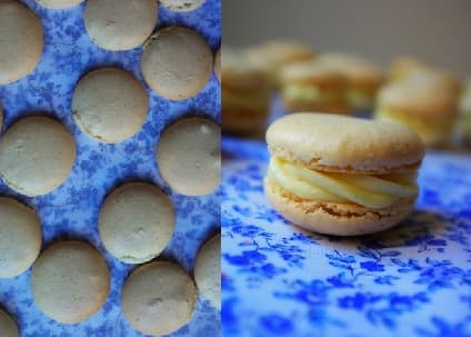 Macaron huile d'olive, vanille et chocolat blanc