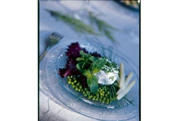 Fond de petits pois dans leur jus tiède à la menthe infusée et chèvre