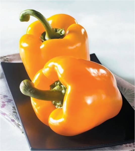 Poivron grillé pour côte de boeuf ou rosbif
