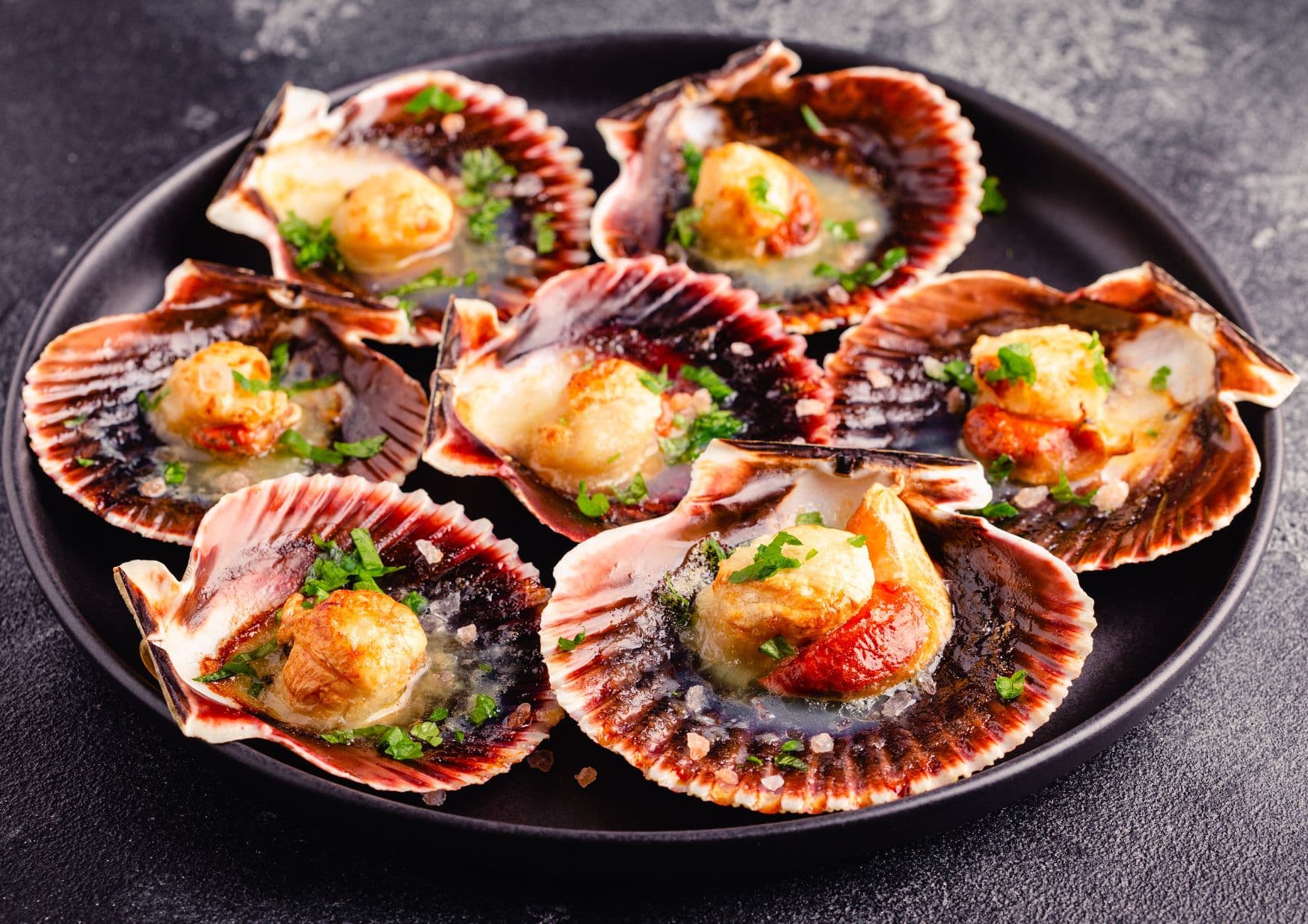 Recettes de Saint-Jacques