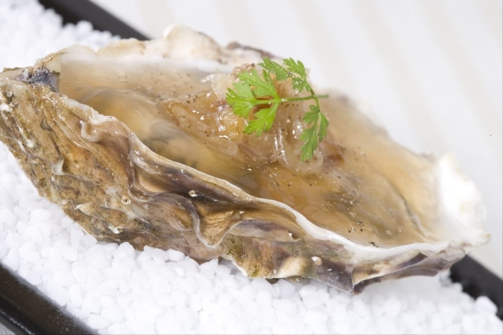 Huîtres en gelée au confit d'échalotes