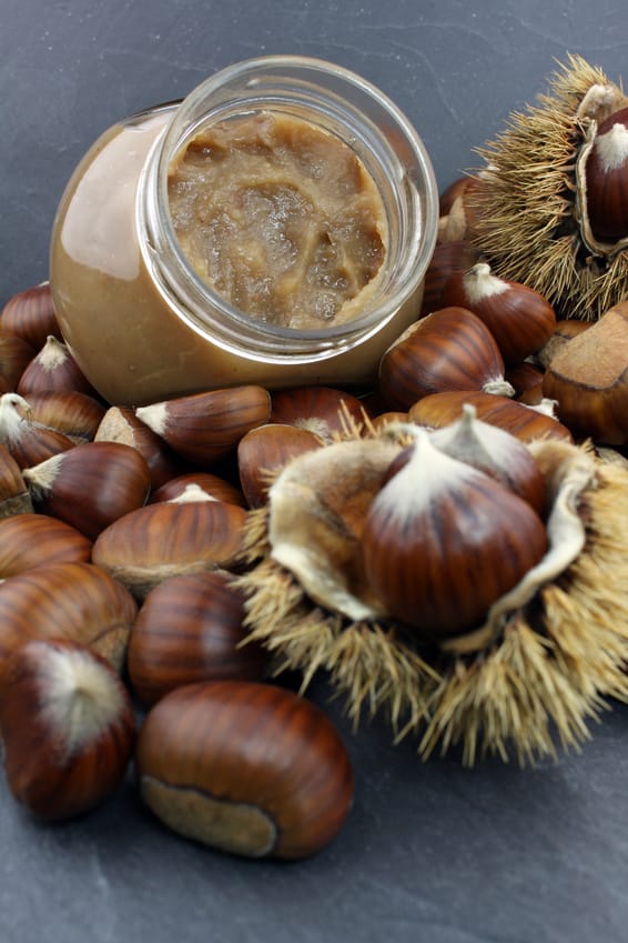 Crème de marrons nature maison