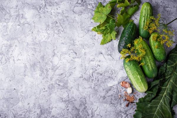 Concombre goma kyuri