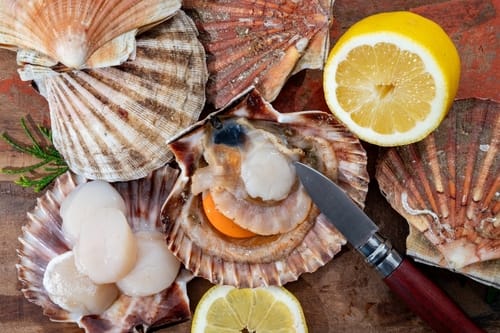 Techniques de Chef