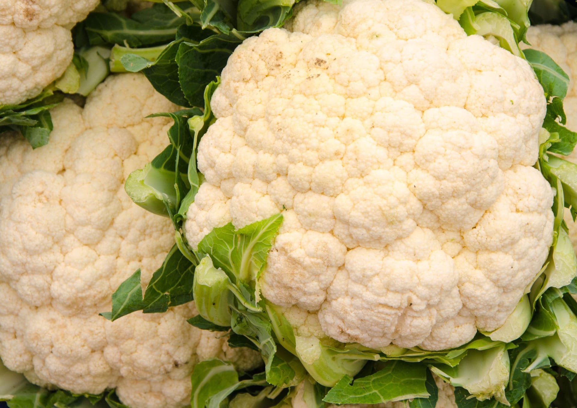 Recettes aux choux-fleurs