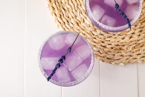 Martini lavande et fleur de sureau