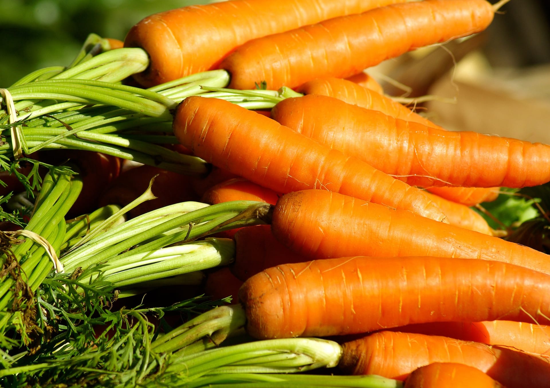Recettes aux carottes