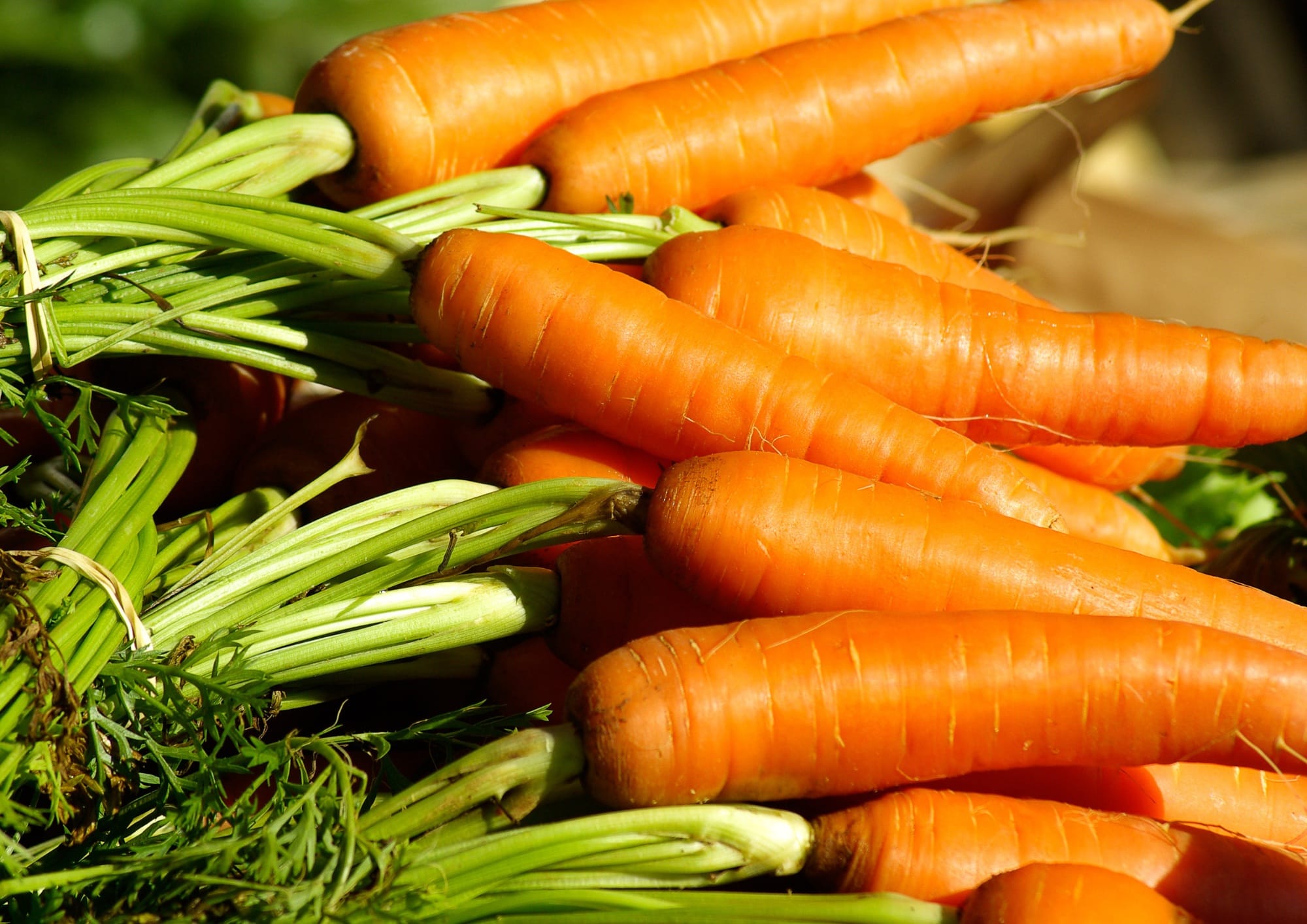 Recettes aux carottes