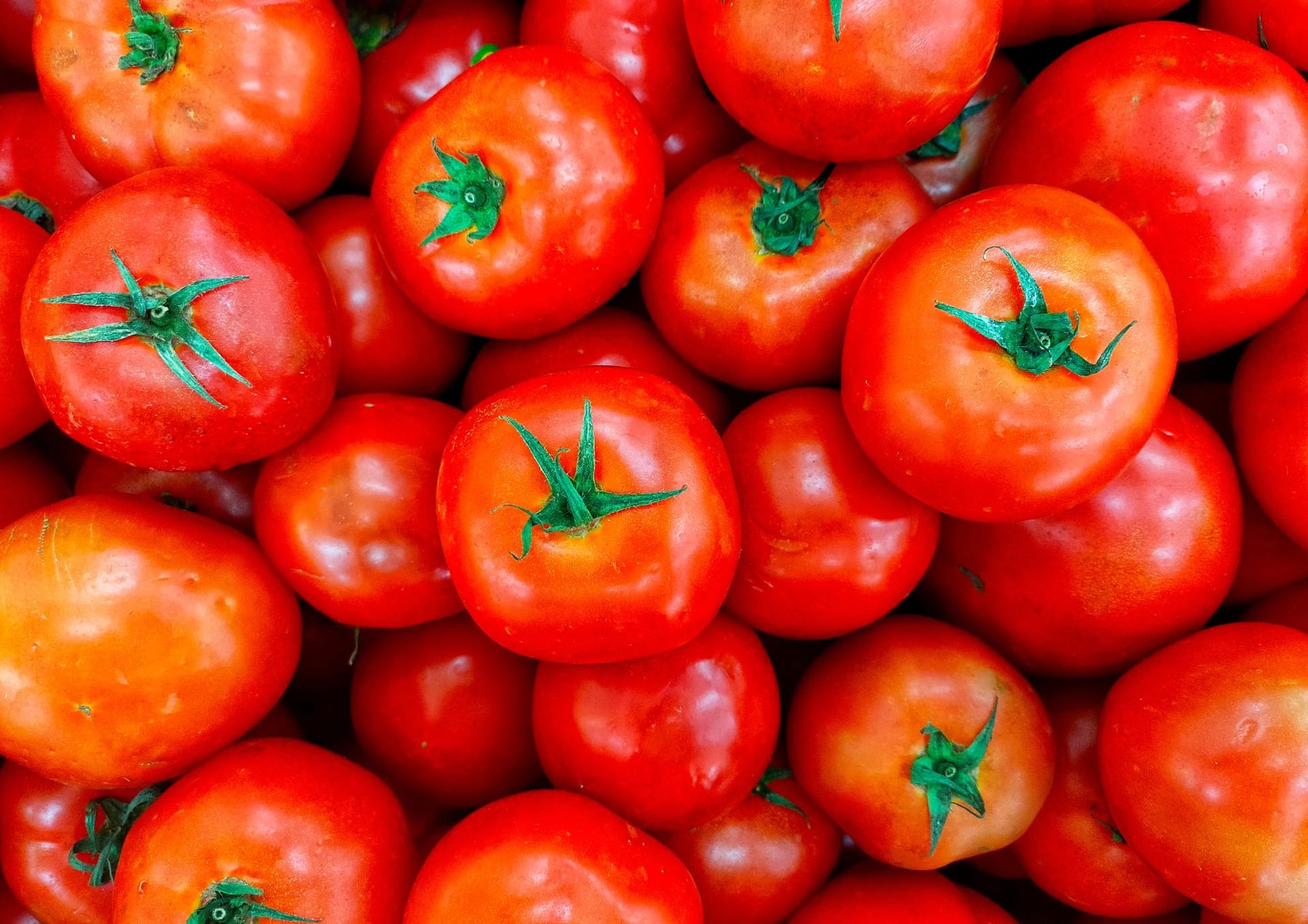 Recettes aux tomates
