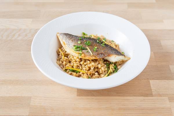Filet de daurade piqué au citron, blé cuisiné